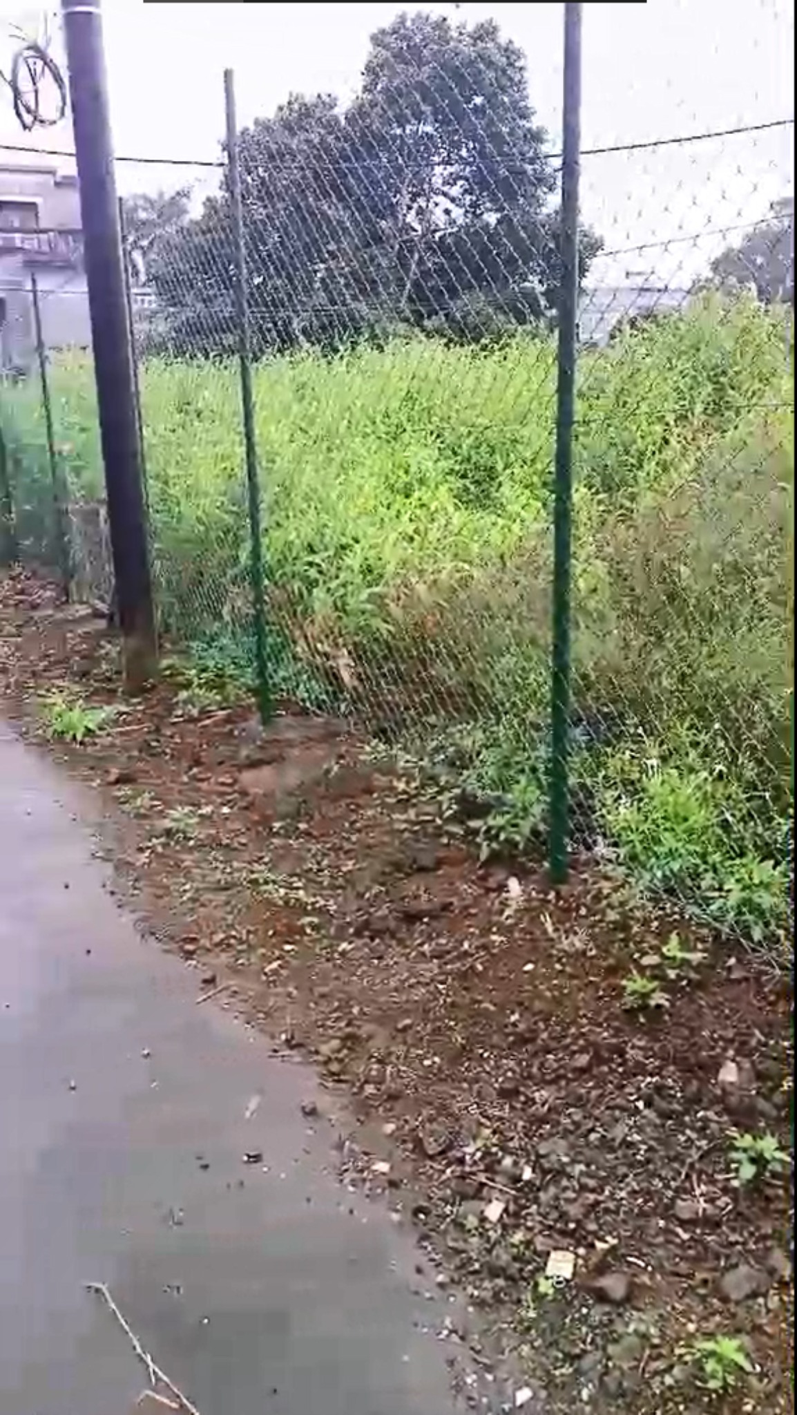 Residential land of 4220.87 m² for sale in Curepipe, center, Mauritius – LexpressProperty.com | 782929 | Ref01