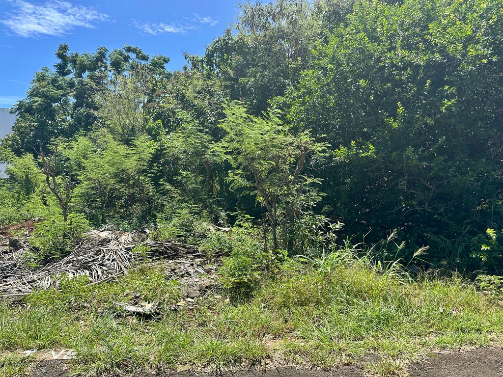 Residential land of 323.02 m2 for sale in Pointe aux Piments, north, Mauritius – LexpressProperty.com | 783420 | Ref01
