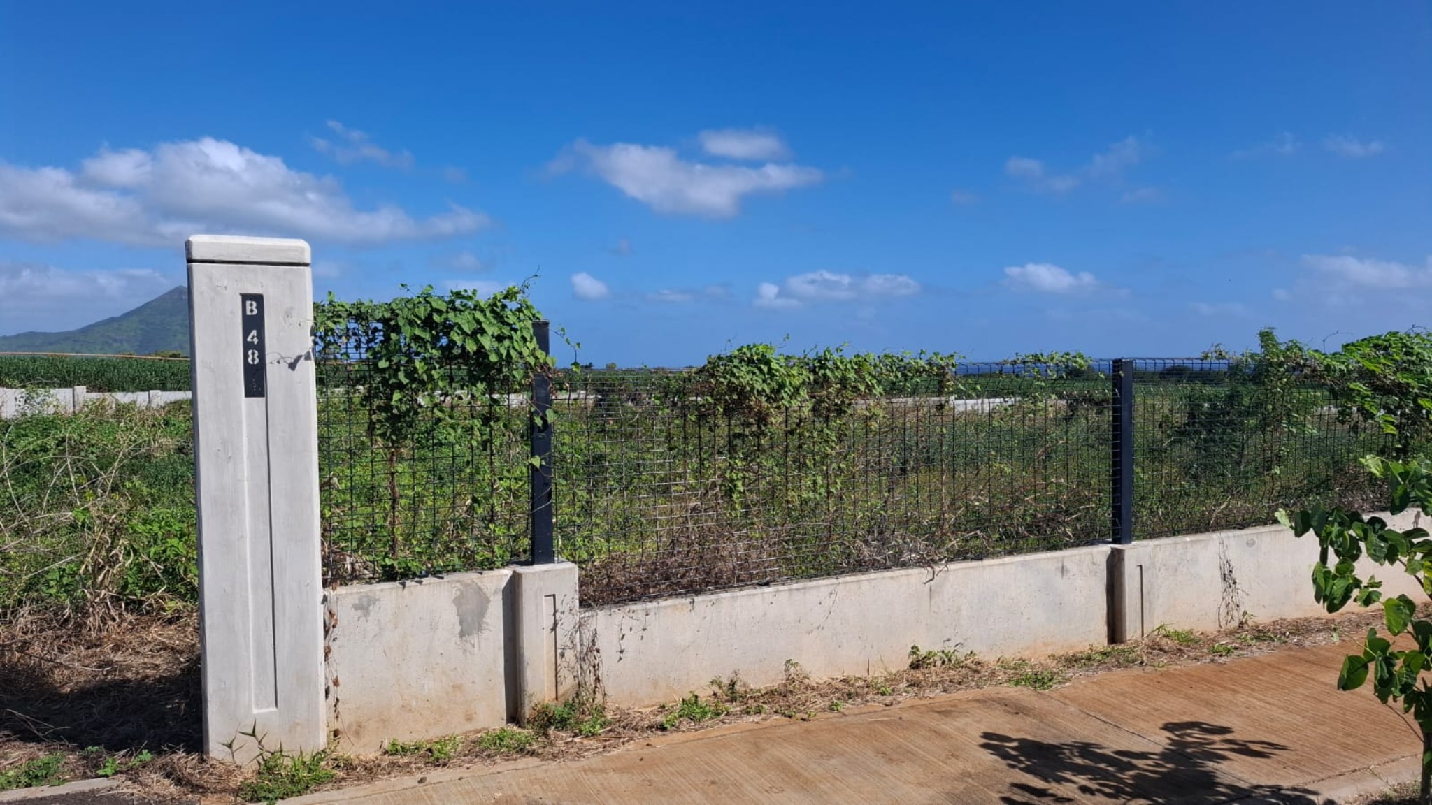 Residential land of 717.5479 m² for sale in Magenta, west, Mauritius – LexpressProperty.com | 783834 | Ref01