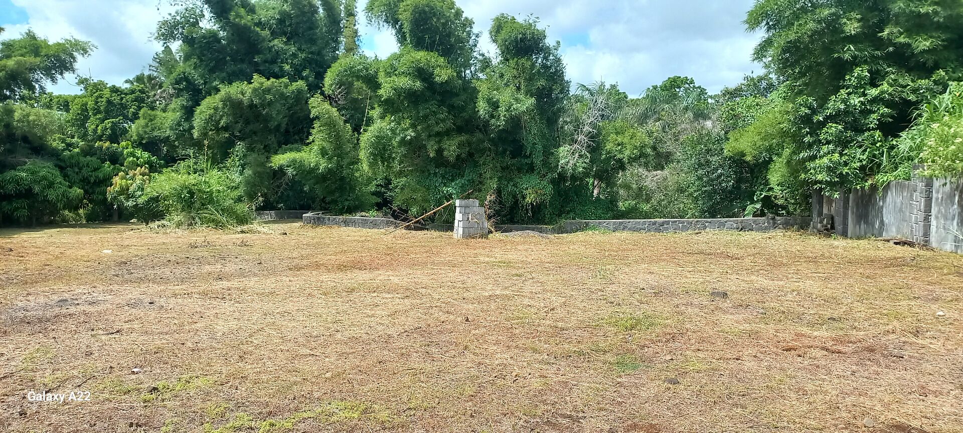 Property – LexpressProperty.com | 776888 | Ref01