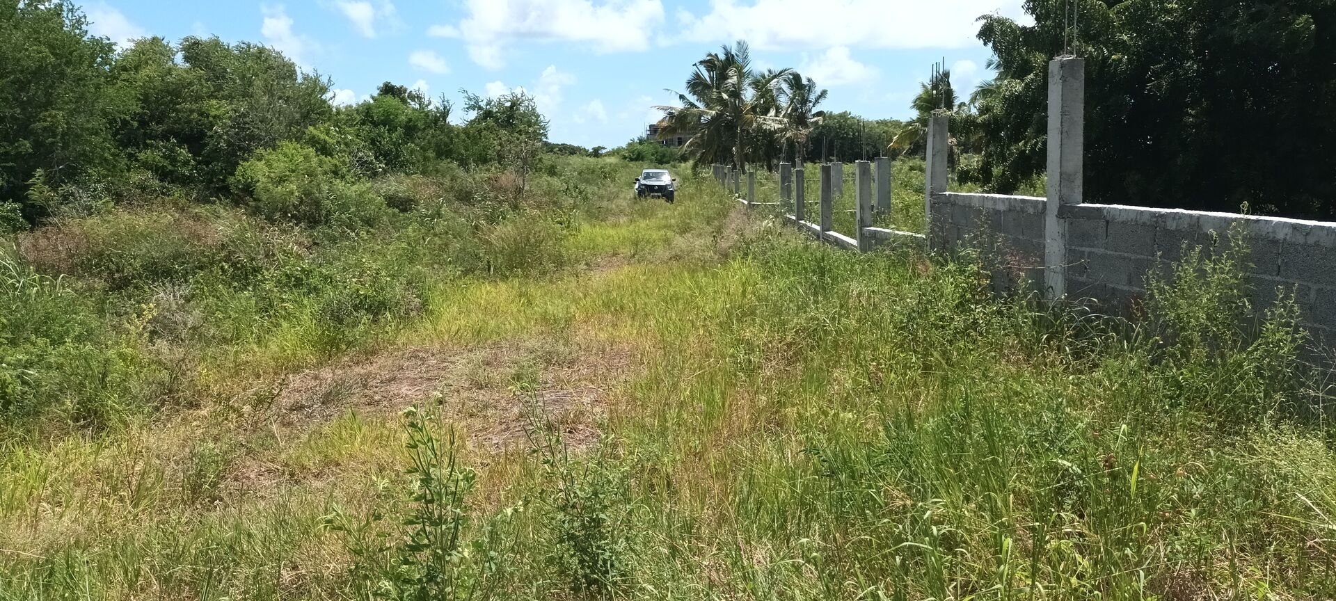 Property – LexpressProperty.com | 762965 | Ref01