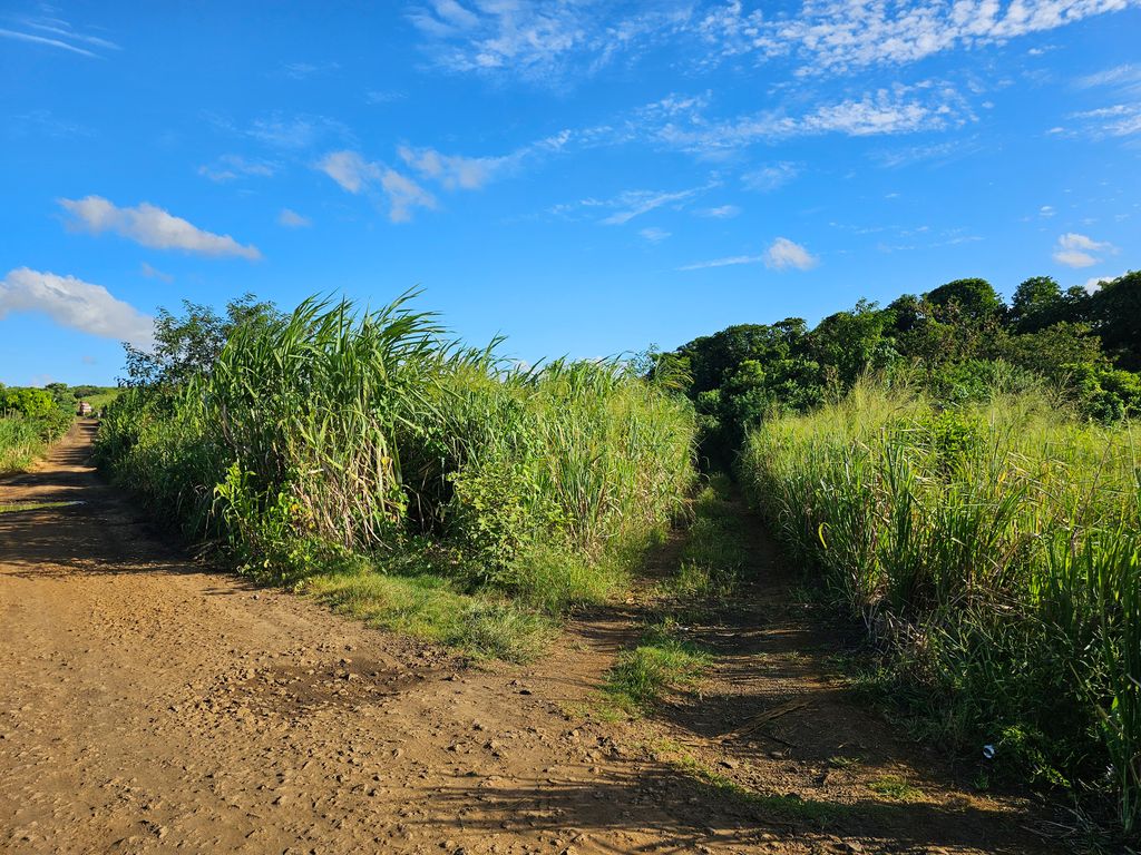 Terrain agricole de 2287 m2 en vente à Abercrombie, nord, île Maurice – LexpressProperty.com | 776369 | Ref01