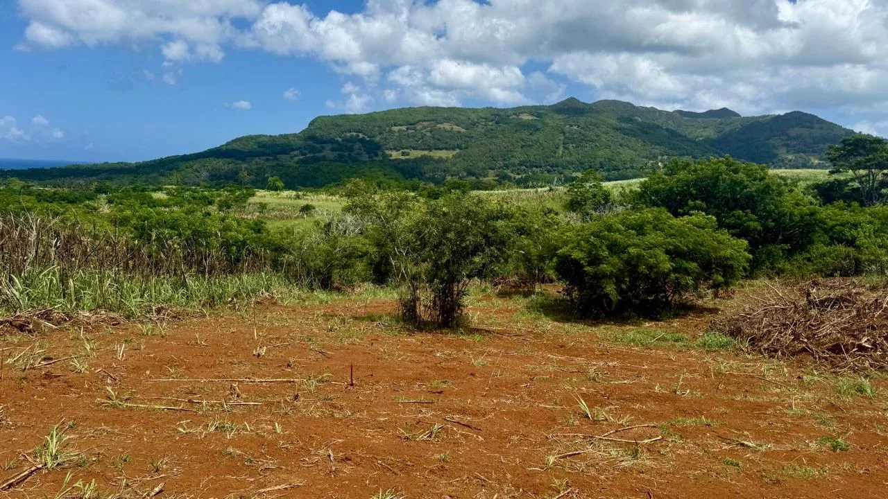 Terrain résidentiel de  en vente à Baie du Cap, sud, île Maurice – LexpressProperty.com | 777103 | Ref01