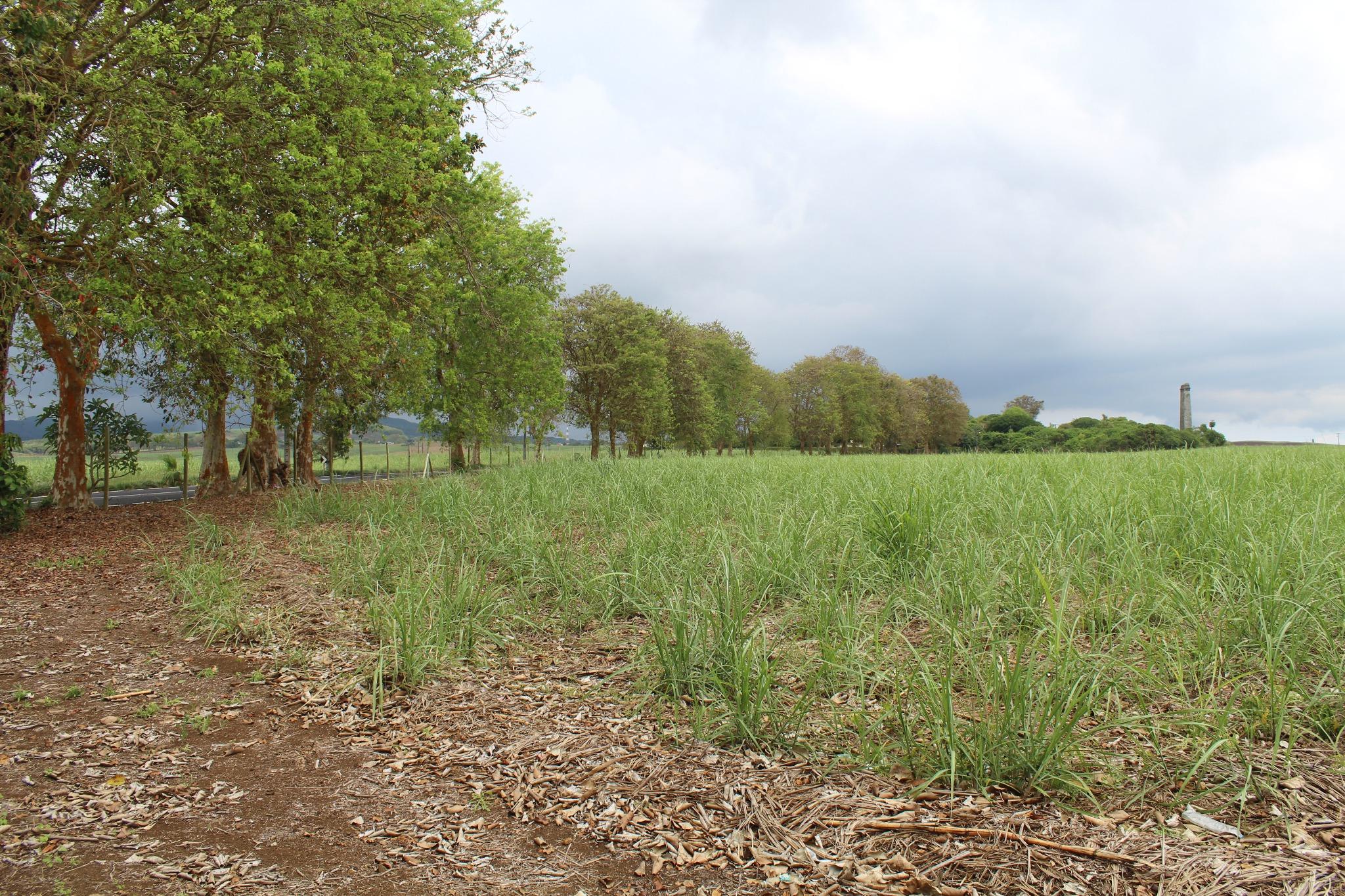Property – LexpressProperty.com | 267794 | Ref01