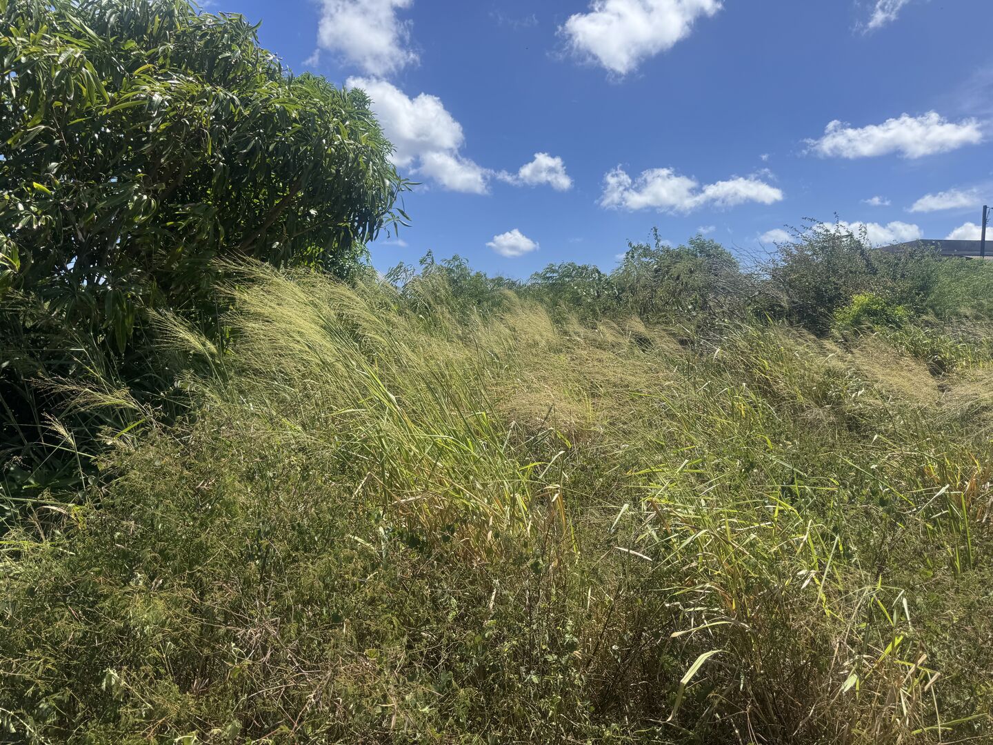 Residential land of 951 m2 for sale in Pointe aux Piments, north, Mauritius – LexpressProperty.com | 778229 | Ref01