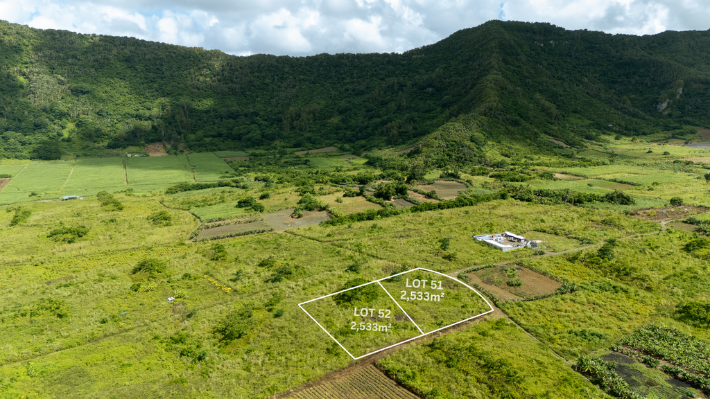 Agricultural land of 2533 m2 for sale in Clemencia, east, Mauritius – LexpressProperty.com | 784176 | Ref01