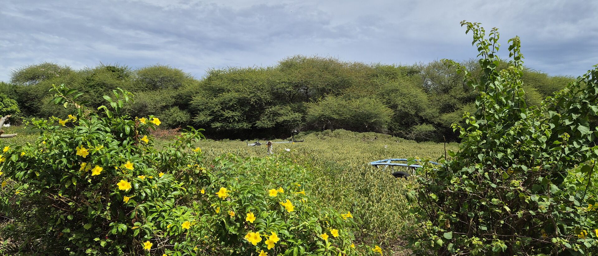 Terrain résidentiel de 1266 m2 en vente à Tamarin, ouest, île Maurice – LexpressProperty.com | 786286 | Ref01