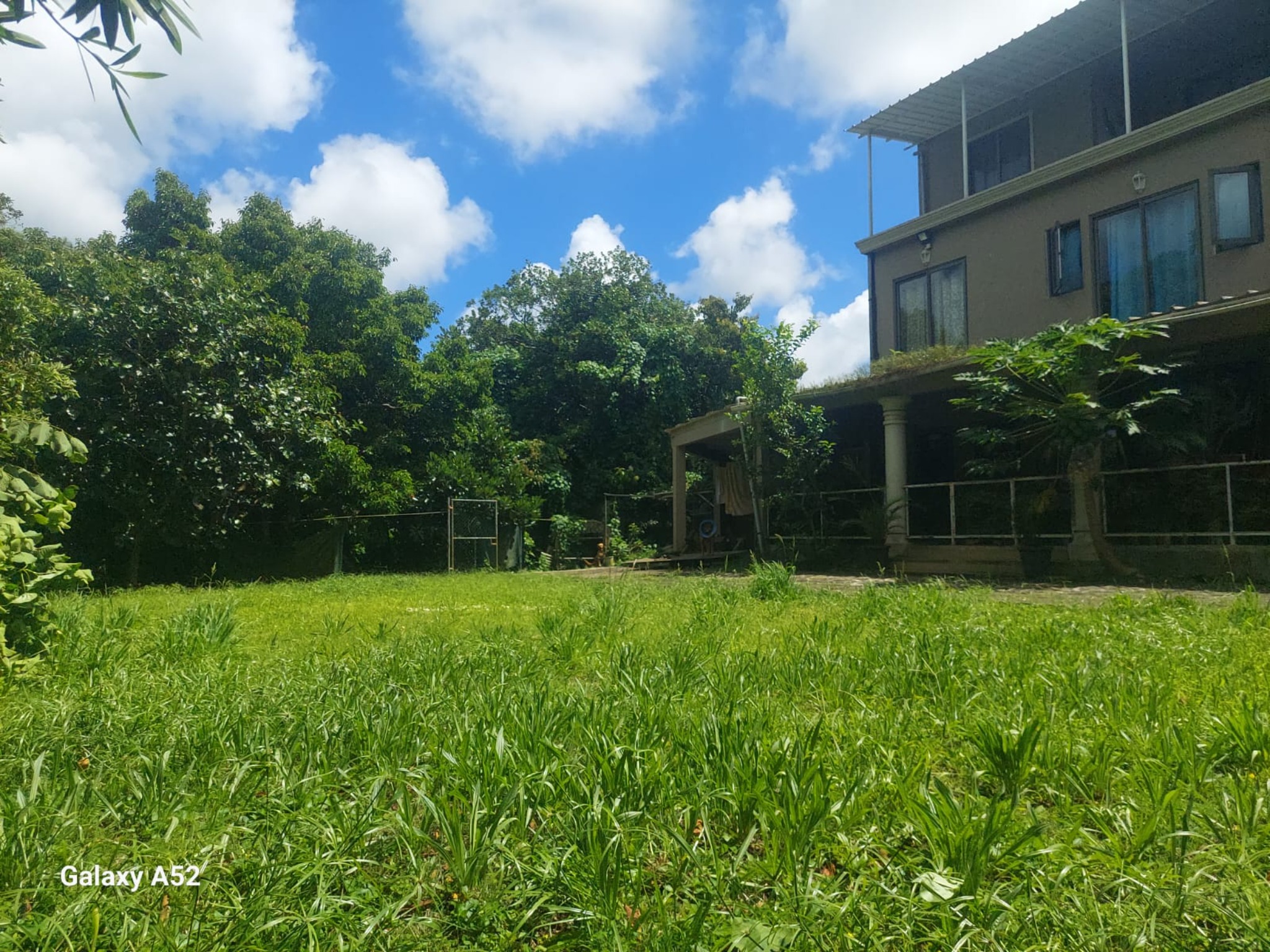 Property – LexpressProperty.com | 786519 | Ref01