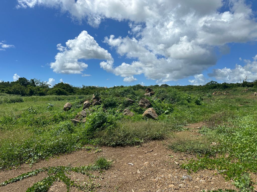Terrain résidentiel de 8441.74 m2 en vente à Trou aux Biches, nord, île Maurice – LexpressProperty.com | 786845 | Ref01
