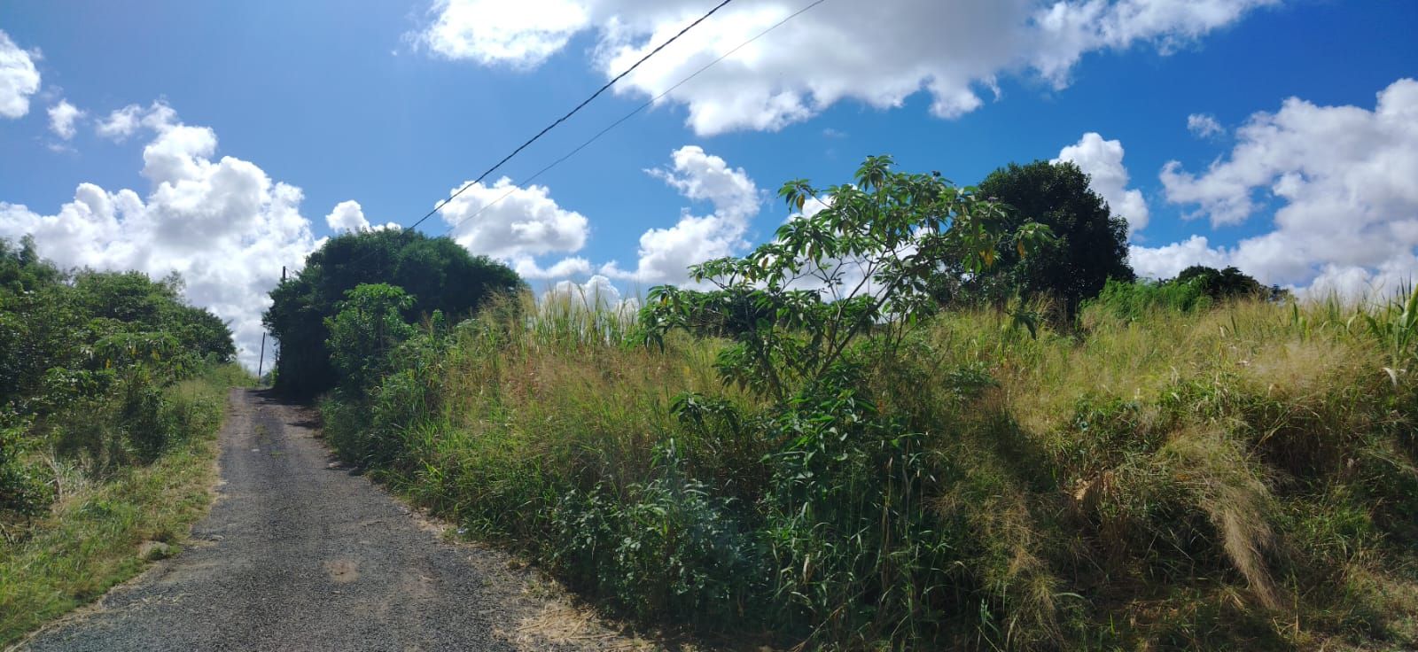 Terrain résidentiel de 985 m2 en vente à Solférino, centre, île Maurice – LexpressProperty.com | 786829 | Ref01