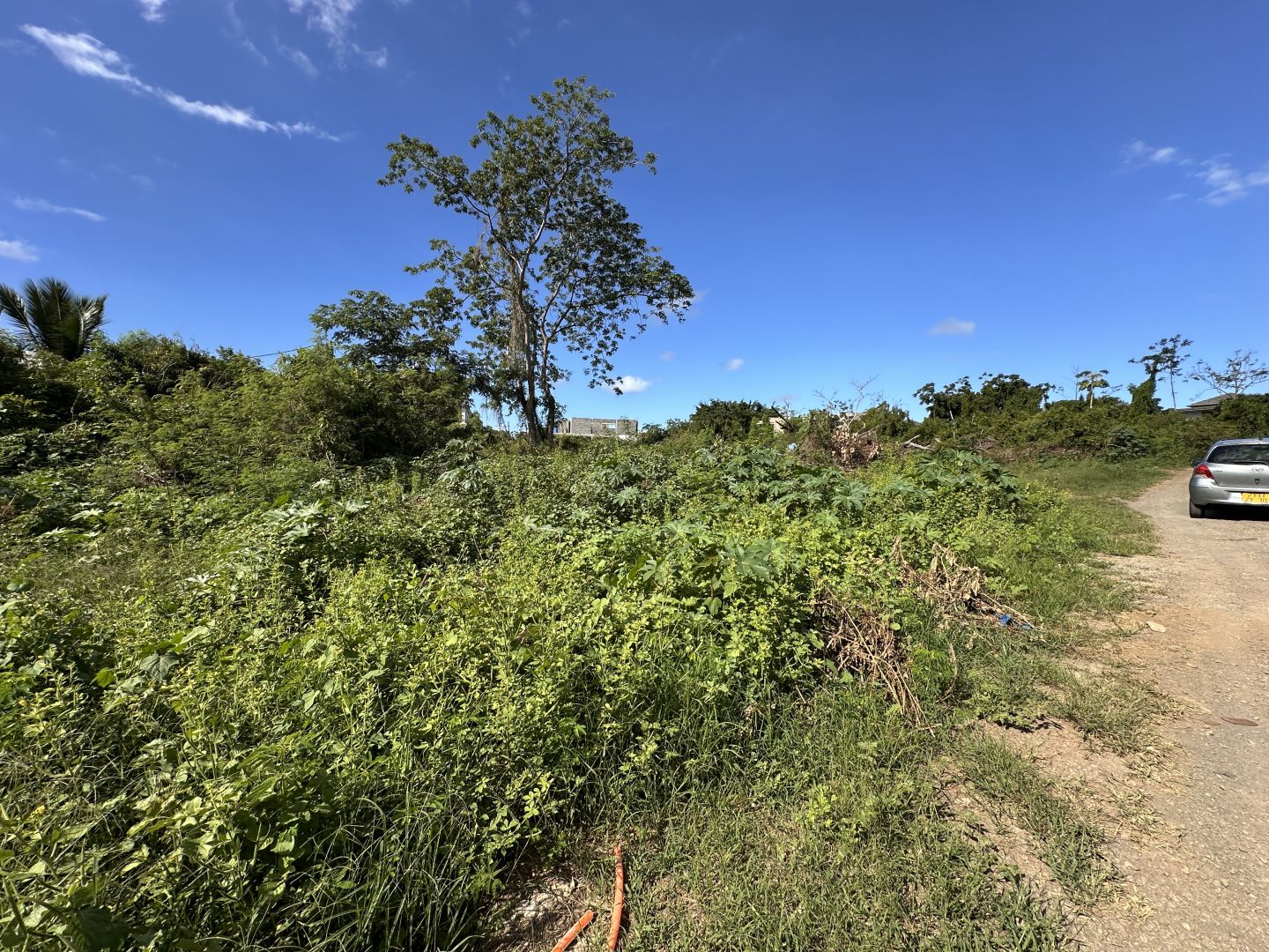Property – LexpressProperty.com | 787475 | Ref01