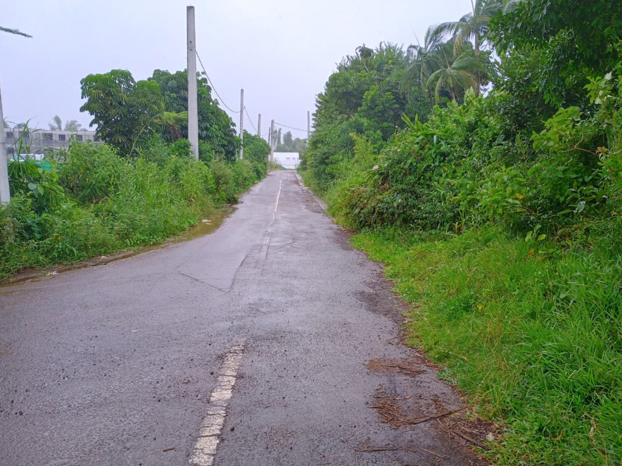 Property – LexpressProperty.com | 787551 | Ref01