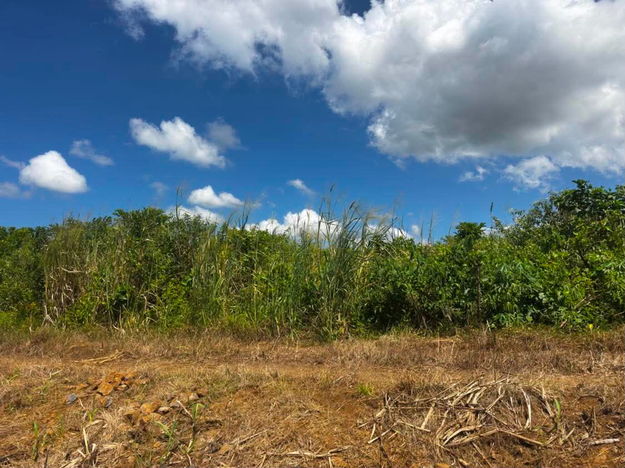 Property – LexpressProperty.com | 787329 | Ref01