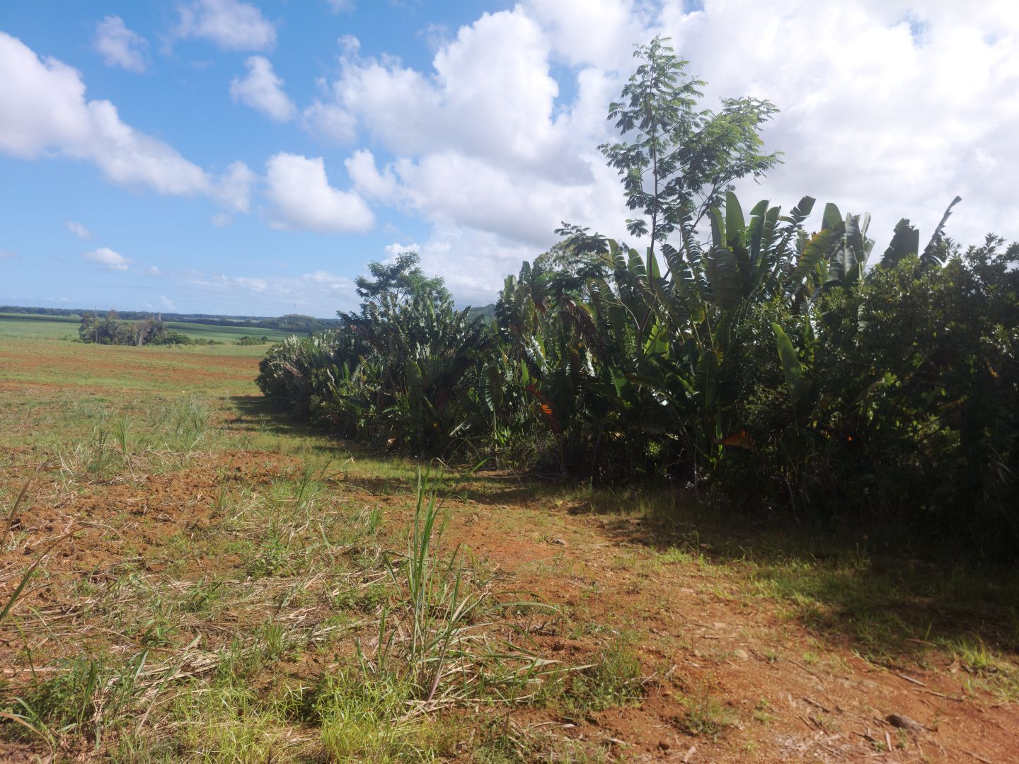 Agricultural land of 19964 m2 for sale in Riche en Eau, south, Mauritius – LexpressProperty.com | 787302 | Ref01