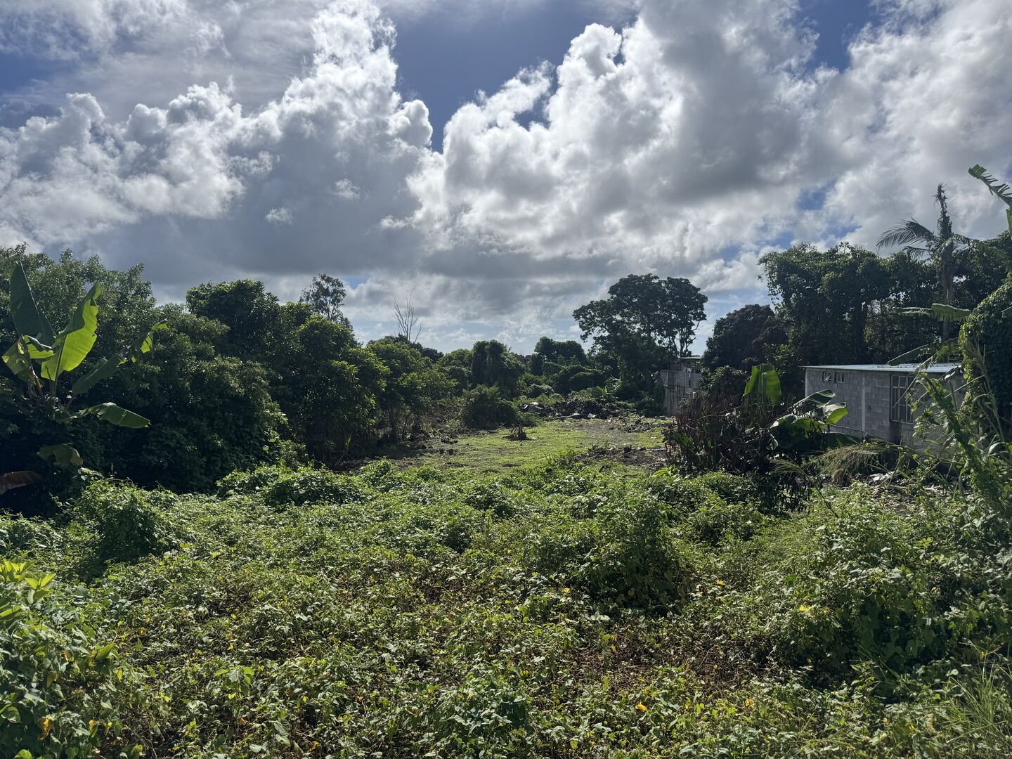 Residential land of 665 m2 for sale in Brisée Verdière, east, Mauritius – LexpressProperty.com | 784332 | Ref01