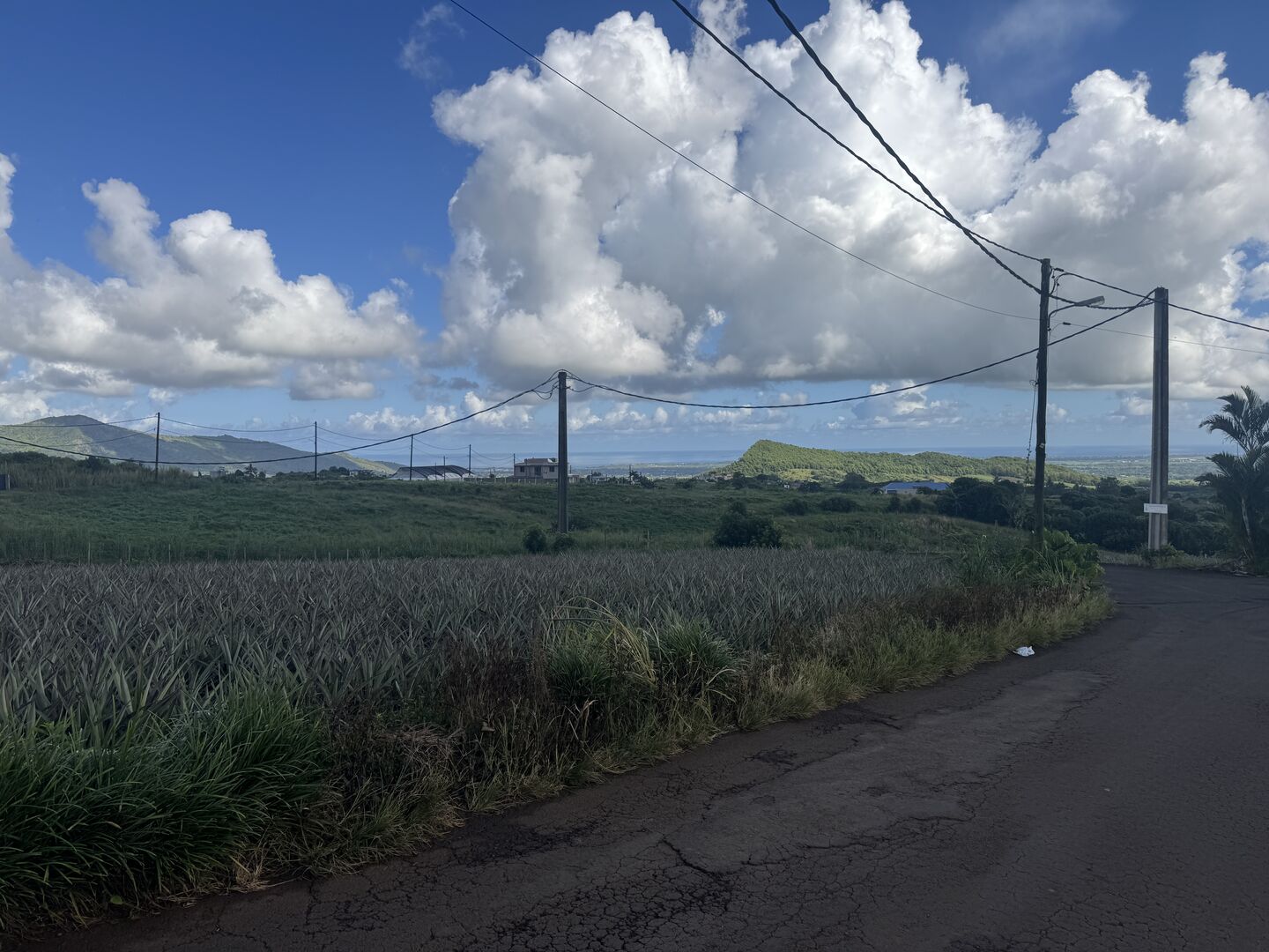 Agricultural land of 5145 m2 for sale in Les Mariannes, north, Mauritius – LexpressProperty.com | 784333 | Ref01