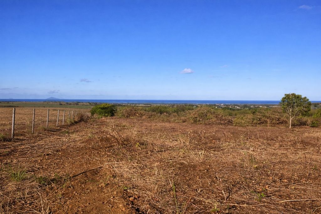 Agricultural land of 5240 m2 for sale in Amaury, north, Mauritius – LexpressProperty.com | 784465 | Ref01