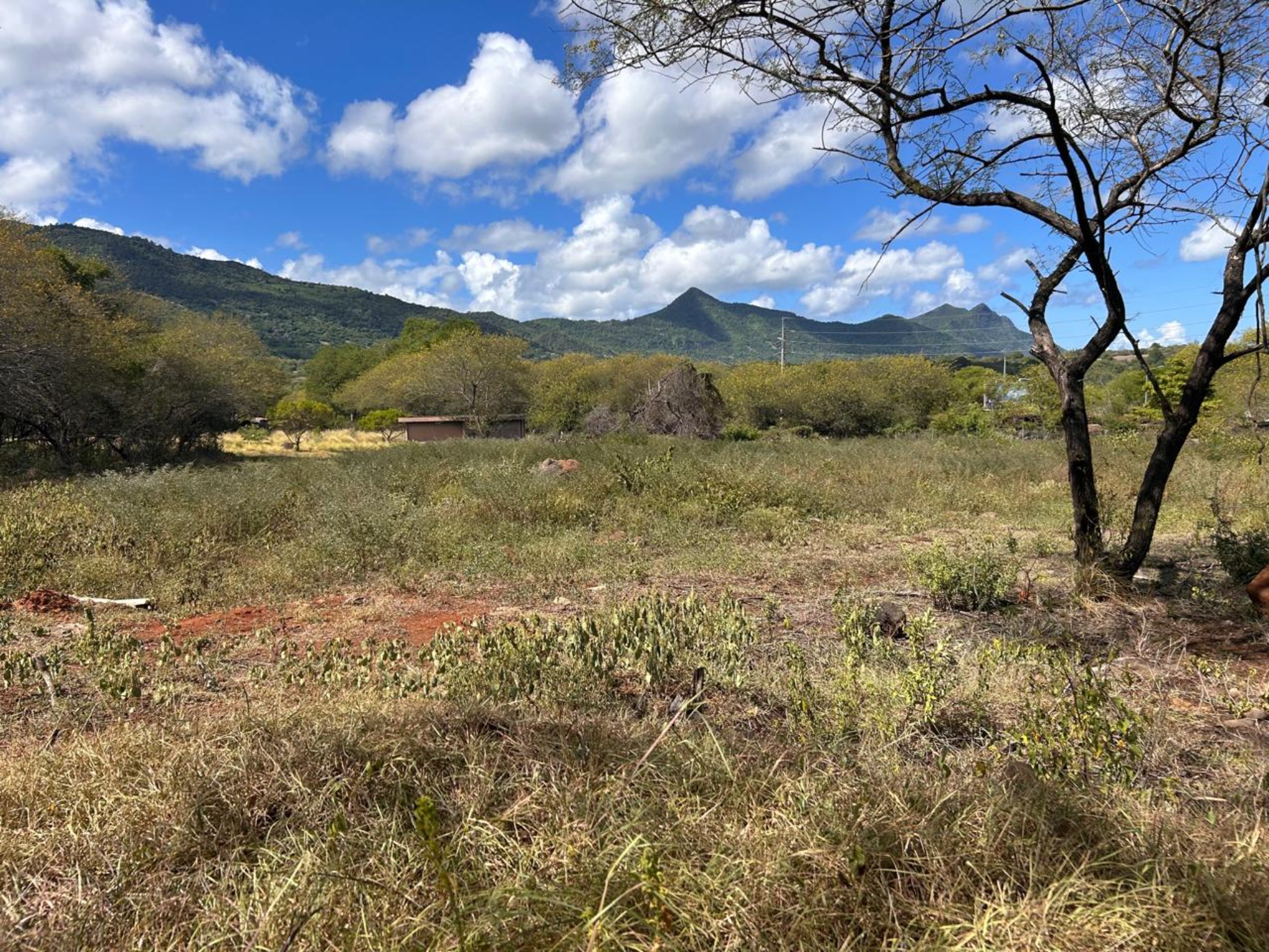 Residential land of 2160 m2 for sale in Petite Rivière Noire, west, Mauritius – LexpressProperty.com | 784304 | Ref01