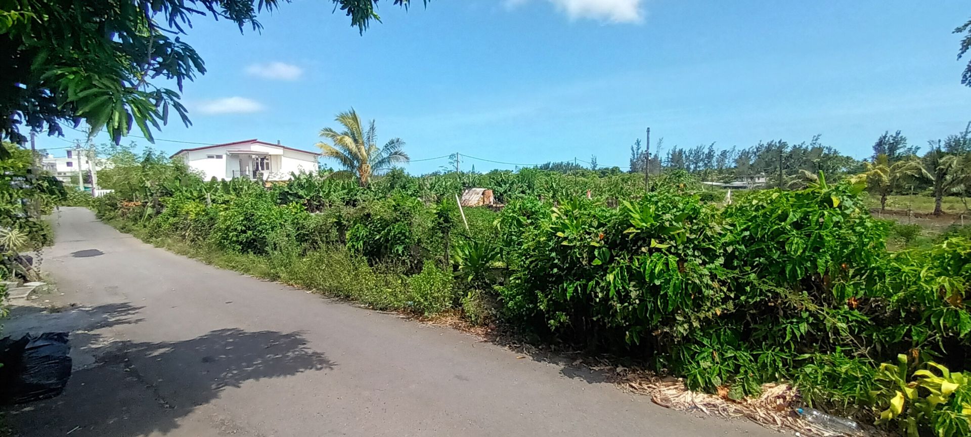 Property – LexpressProperty.com | 788336 | Ref01