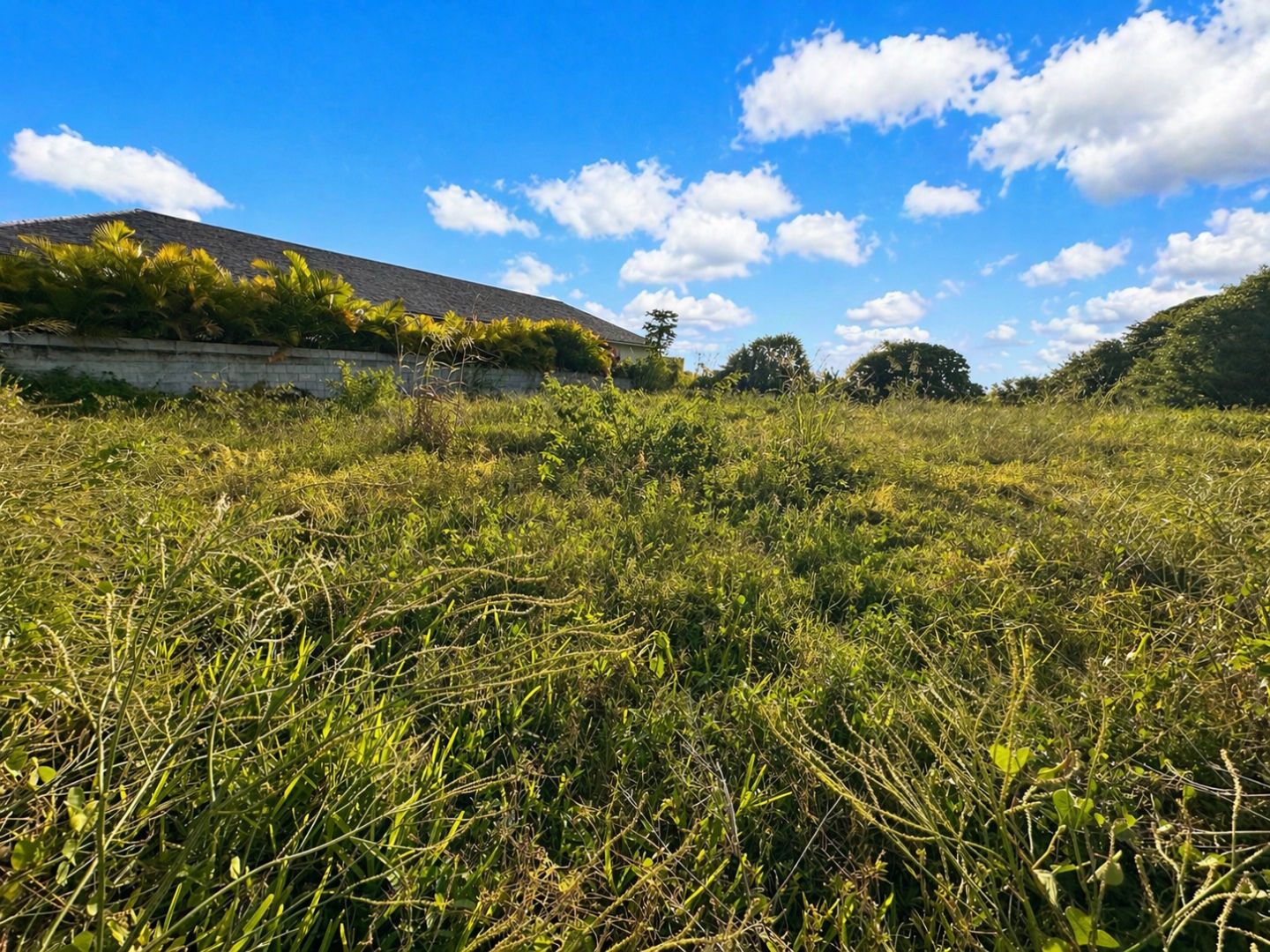 Terrain résidentiel de 1116 m2 en vente à Mon Gout, nord, île Maurice – LexpressProperty.com | 788508 | Ref01