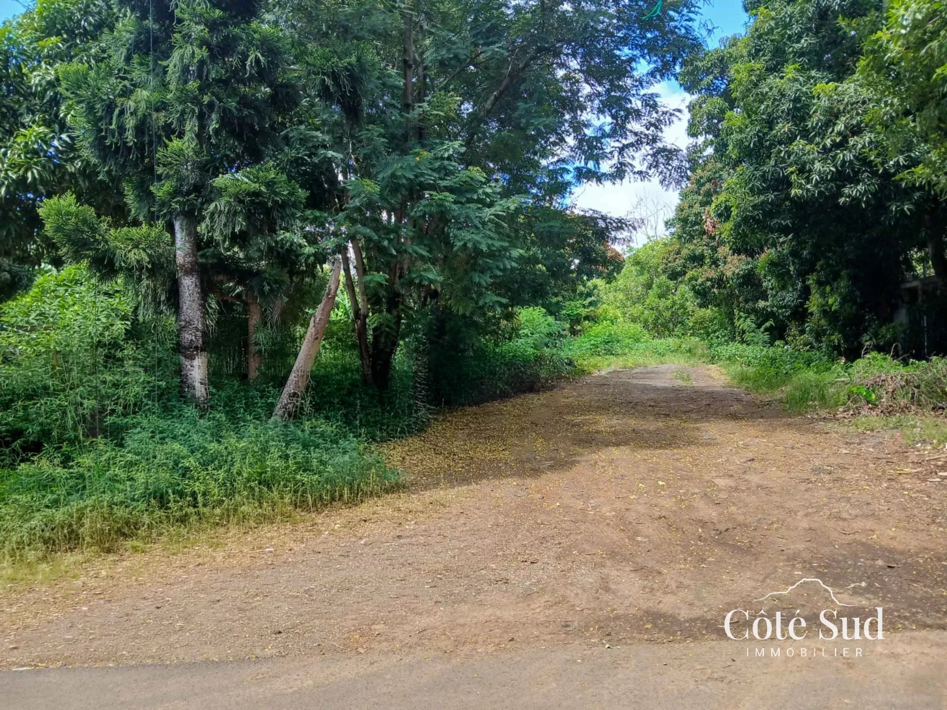 Property – LexpressProperty.com | 788473 | Ref01