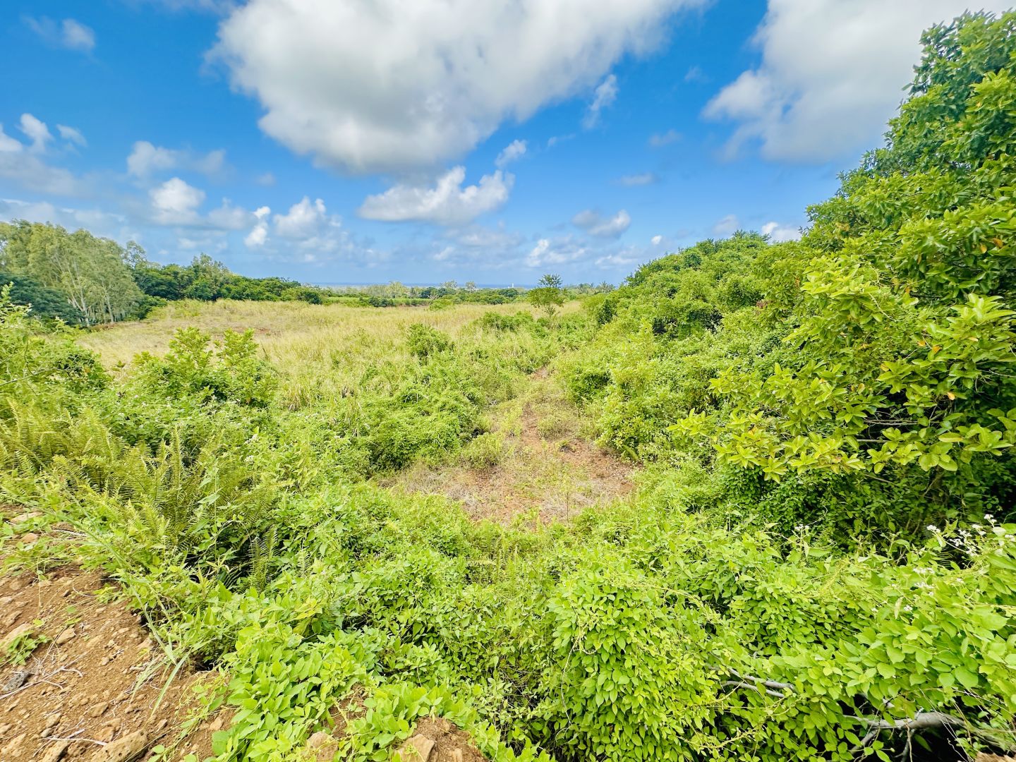 Agricultural land of 7194 m2 for sale in Mare d'Albert, south, Mauritius – LexpressProperty.com | 788905 | Ref01