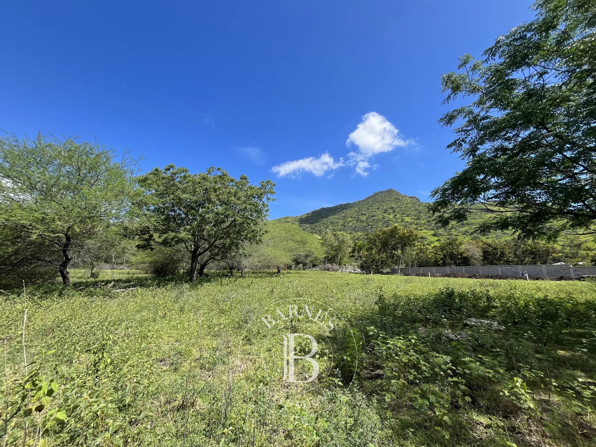 Terrain résidentiel de 2027.44 m2 en vente à Tamarin, ouest, île Maurice – LexpressProperty.com | 788823 | Ref01
