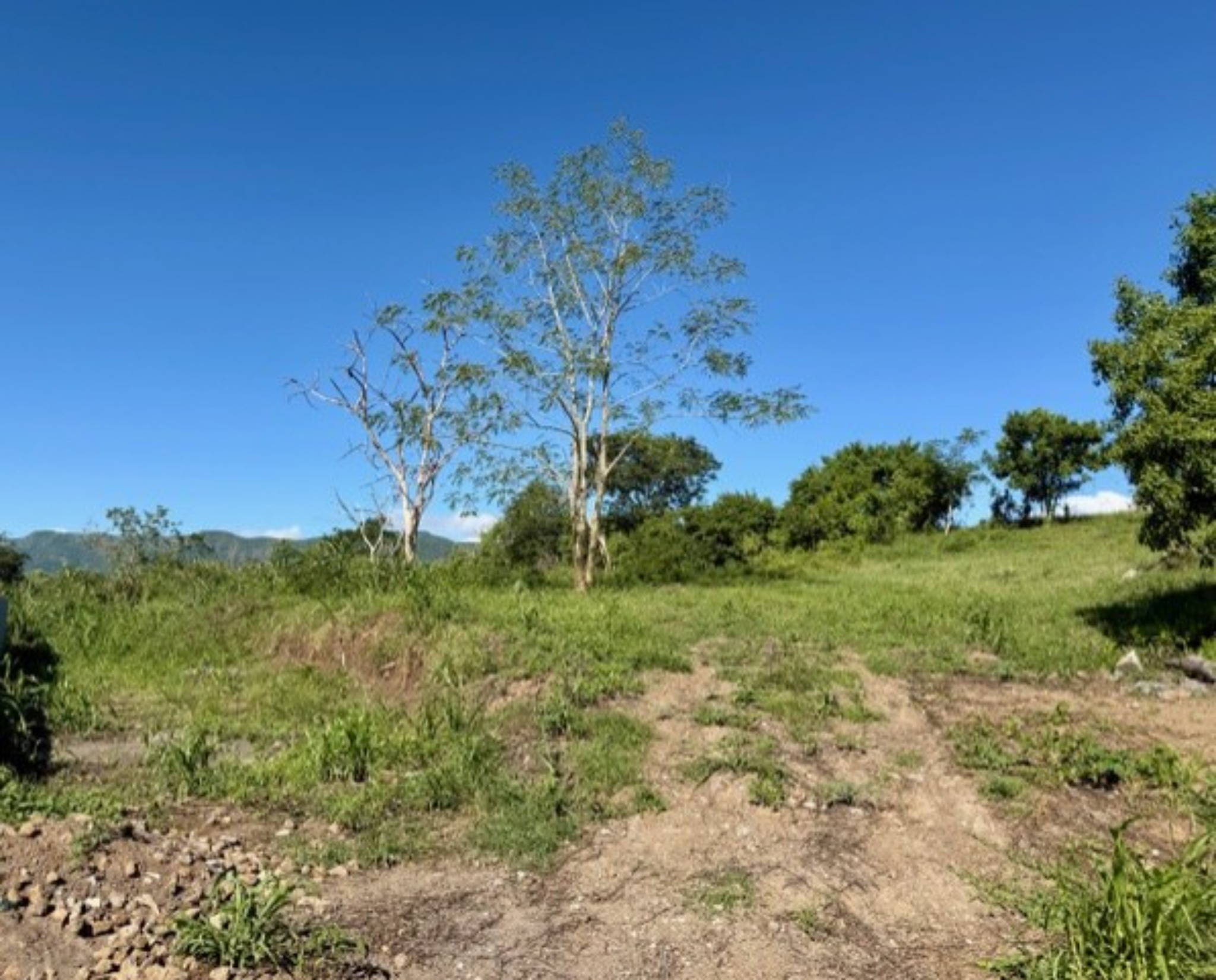 Terrain résidentiel de 962 m2 en vente à Black River, ouest, île Maurice – LexpressProperty.com | 788854 | Ref01
