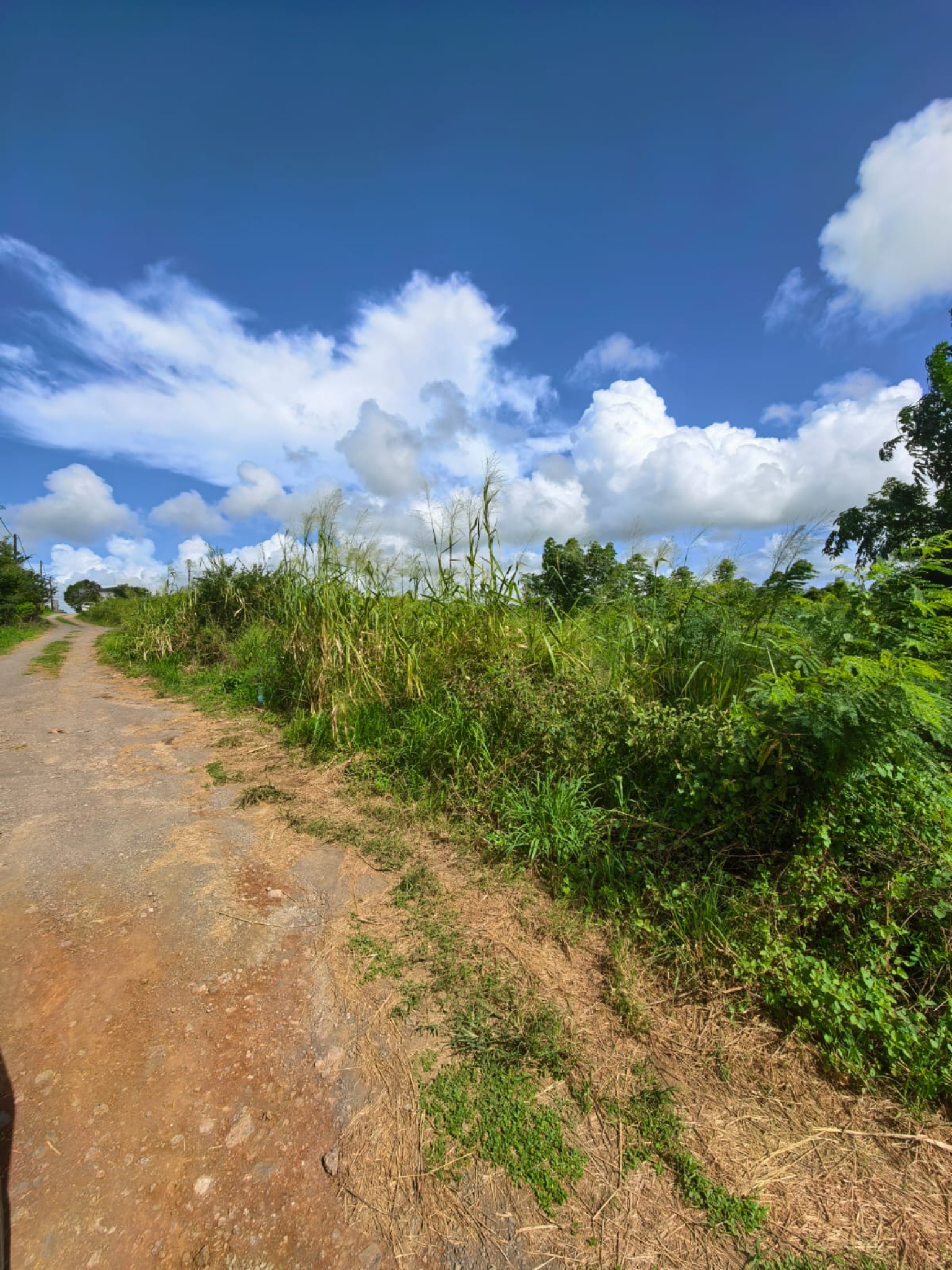 Property – LexpressProperty.com | 789248 | Ref01