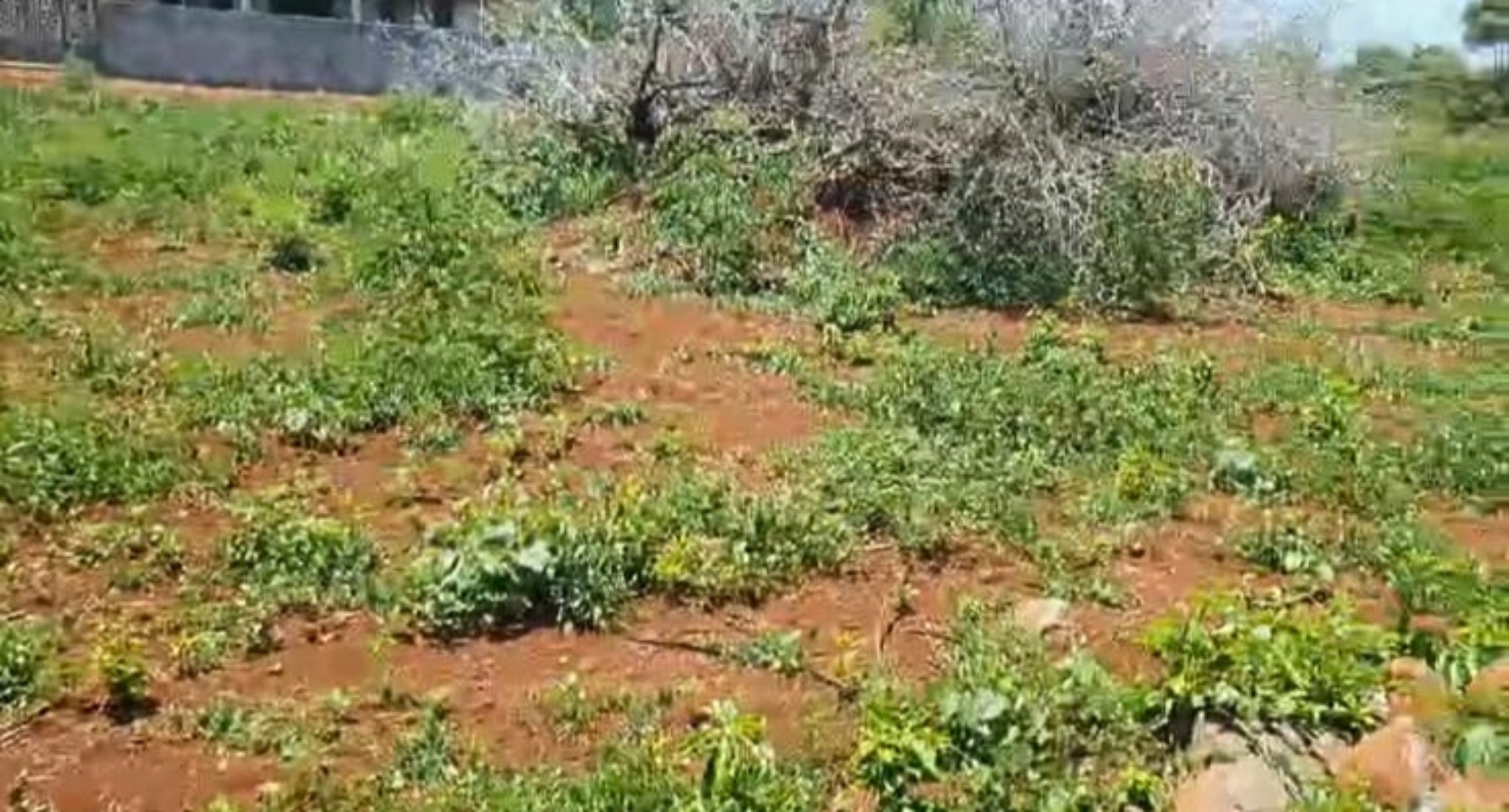 Residential land of 970.8 m2 for sale in Pointe aux Piments, north, Mauritius – LexpressProperty.com | 789083 | Ref01