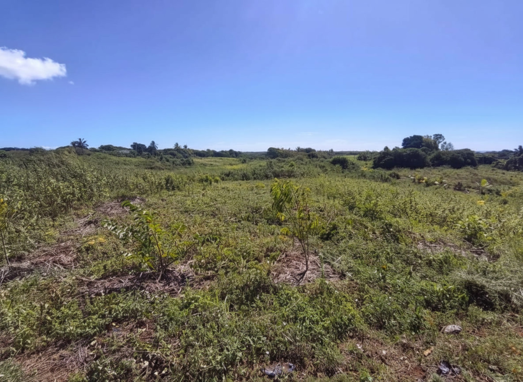 Property – LexpressProperty.com | 789620 | Ref01