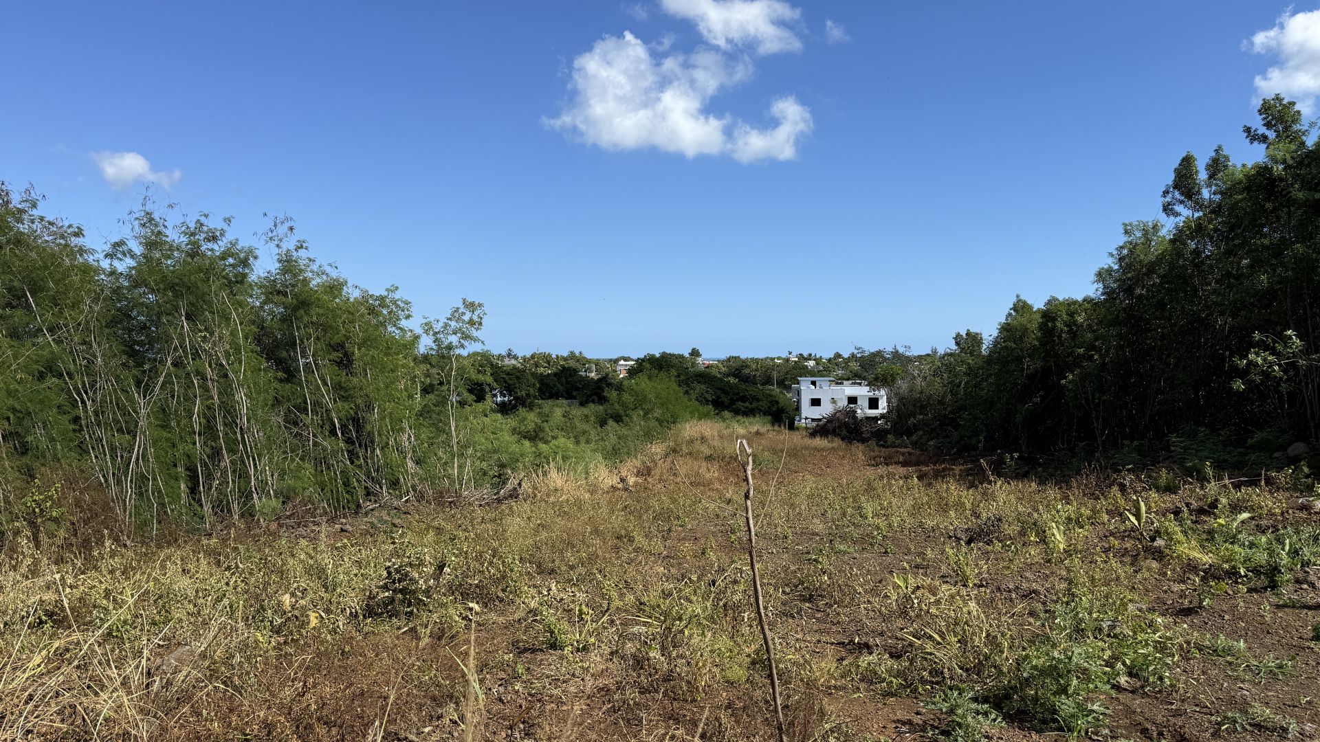 Residential land of 1119 m2 for sale in Forêt Daruty, north, Mauritius – LexpressProperty.com | 789861 | Ref01