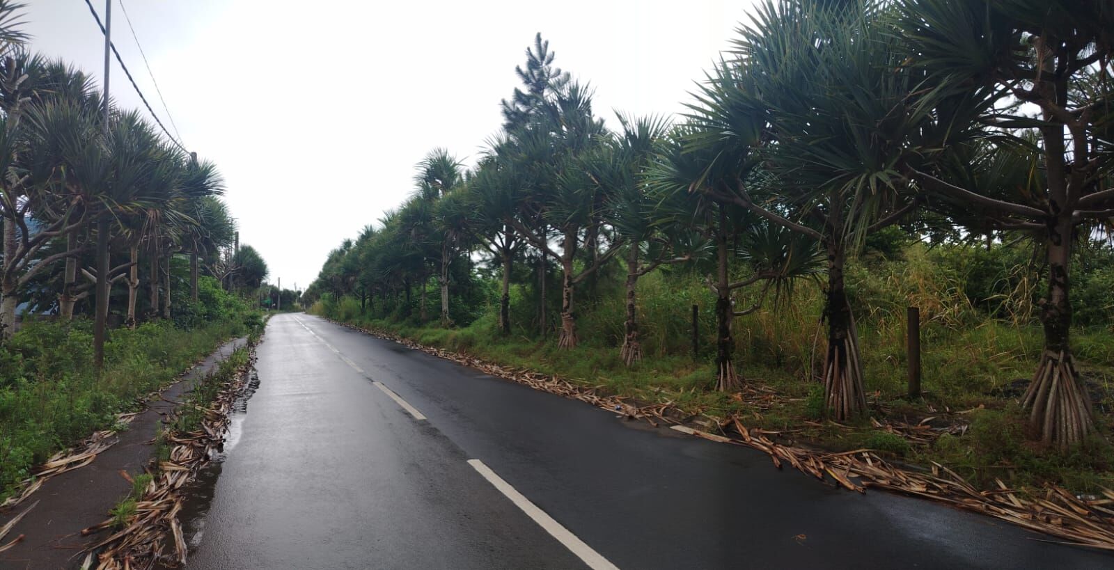 Residential land of 3796 m2 for sale in Côte d'Or, center, Mauritius – LexpressProperty.com | 790128 | Ref01
