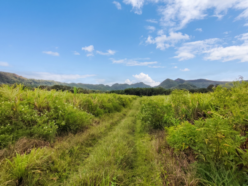Agricultural land of 2567.27 m2 for sale in Le Val, south, Mauritius – LexpressProperty.com | 790110 | Ref01