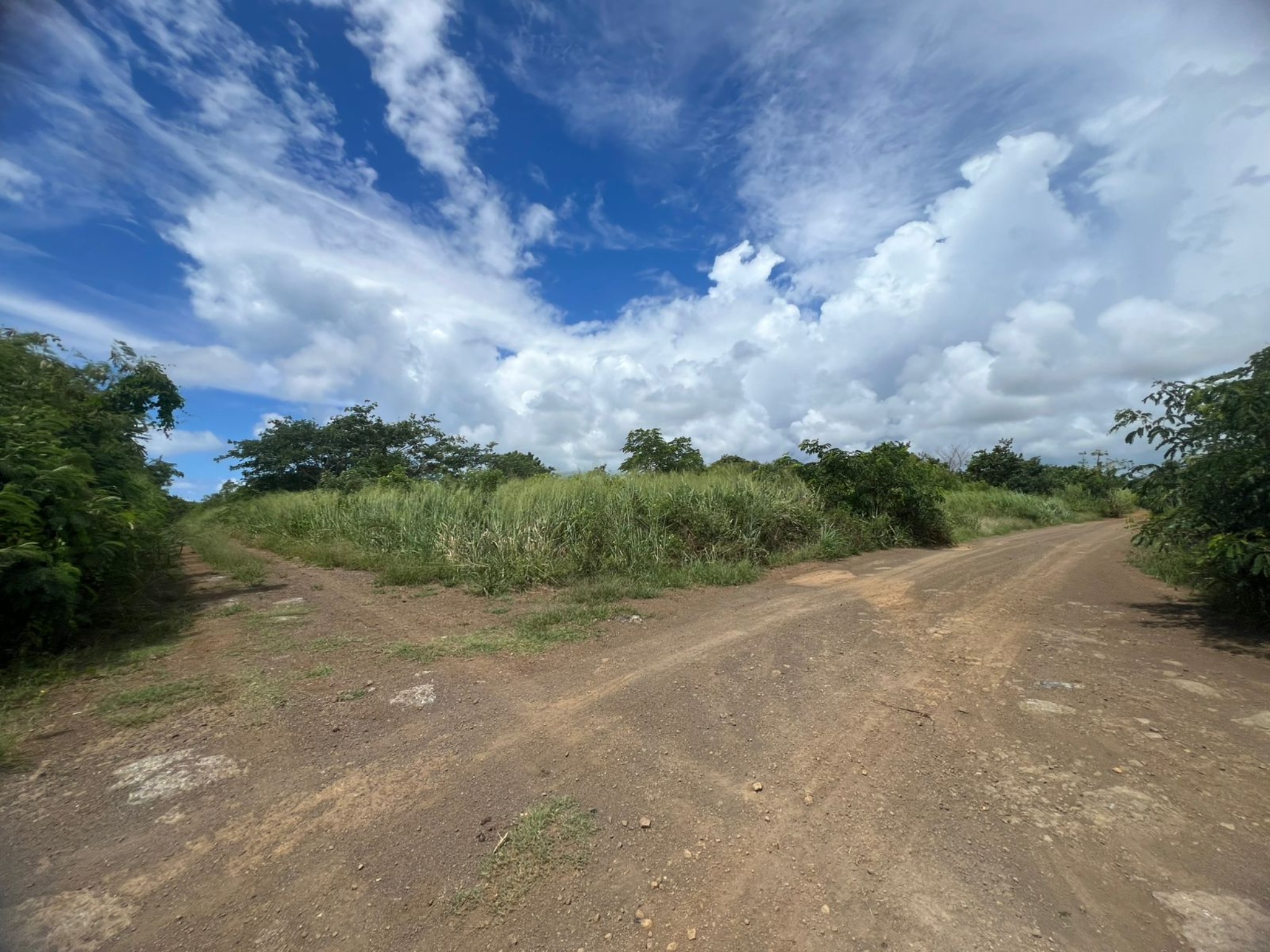 Property – LexpressProperty.com | 784698 | Ref01