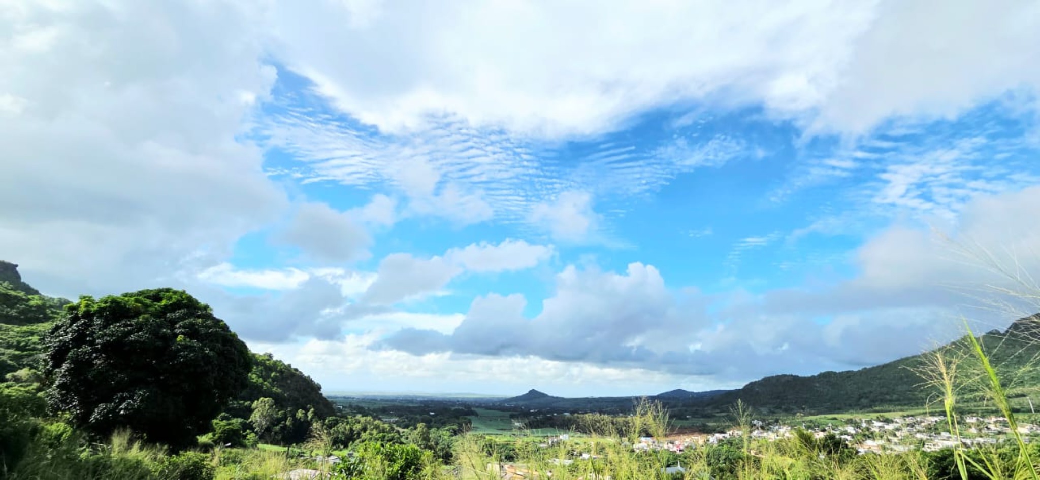 Agricultural land of 8110 m2 for sale in Crève Coeur, north, Mauritius – LexpressProperty.com | 784367 | Ref01