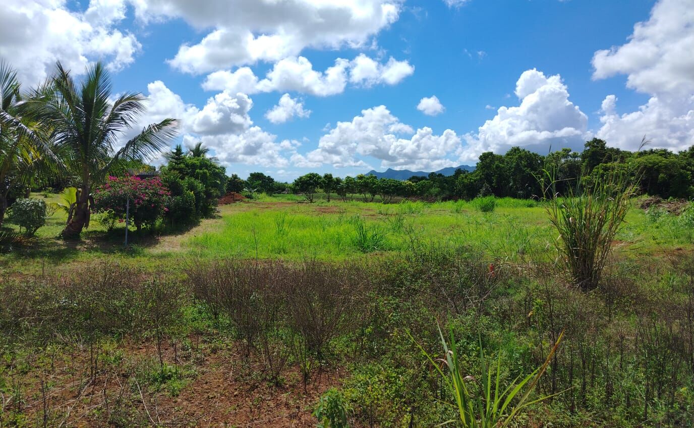 Agricultural land of 2109 m2 for sale in Highlands, center, Mauritius – LexpressProperty.com | 784638 | Ref01