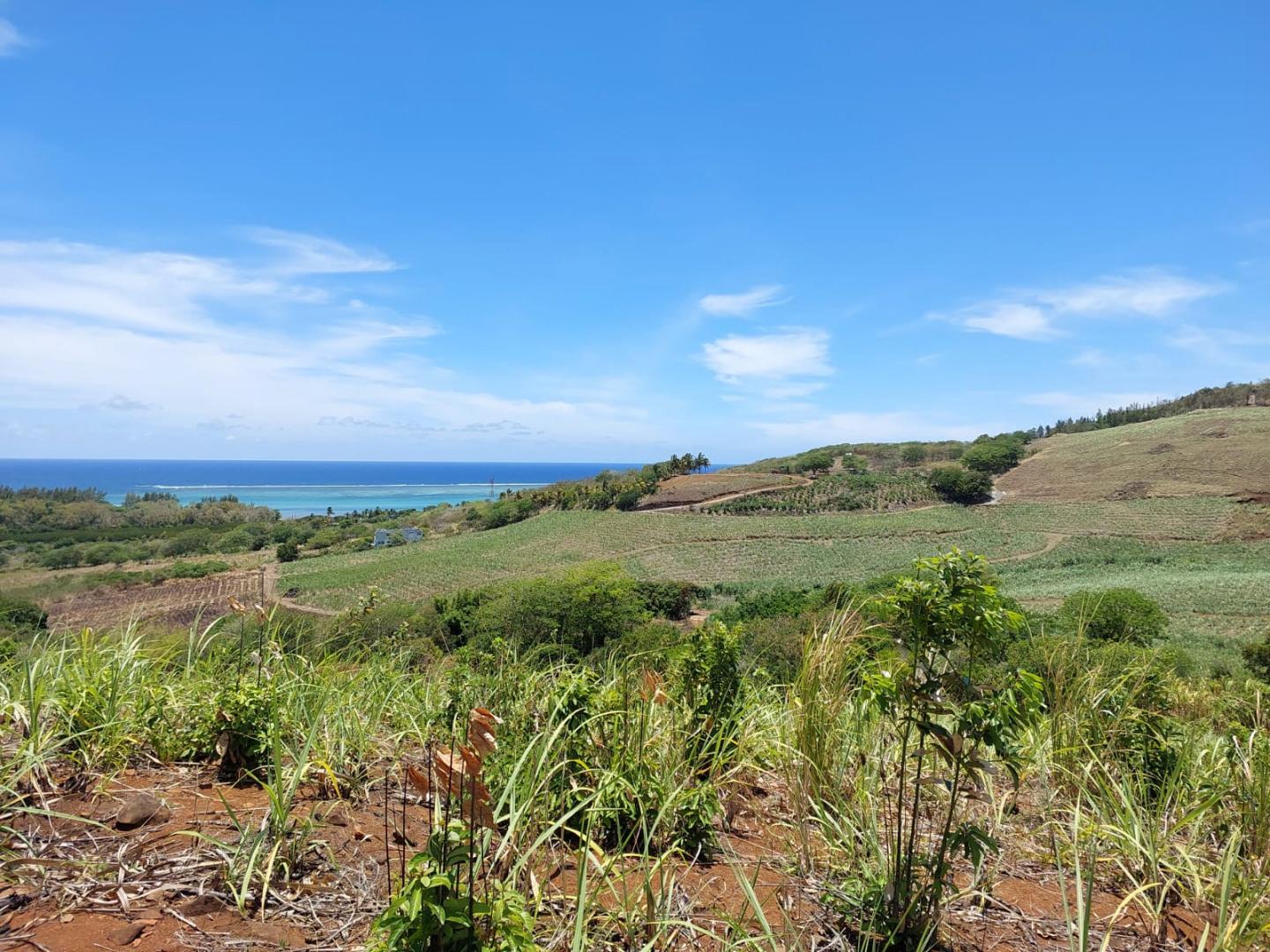 Terrain agricole de 323400 m2 en vente à Bel Ombre, sud, île Maurice – LexpressProperty.com | 790532 | Ref01