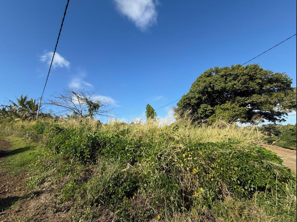 Residential land of 3778 m2 for sale in Grand Bay, north, Mauritius – LexpressProperty.com | 790530 | Ref01
