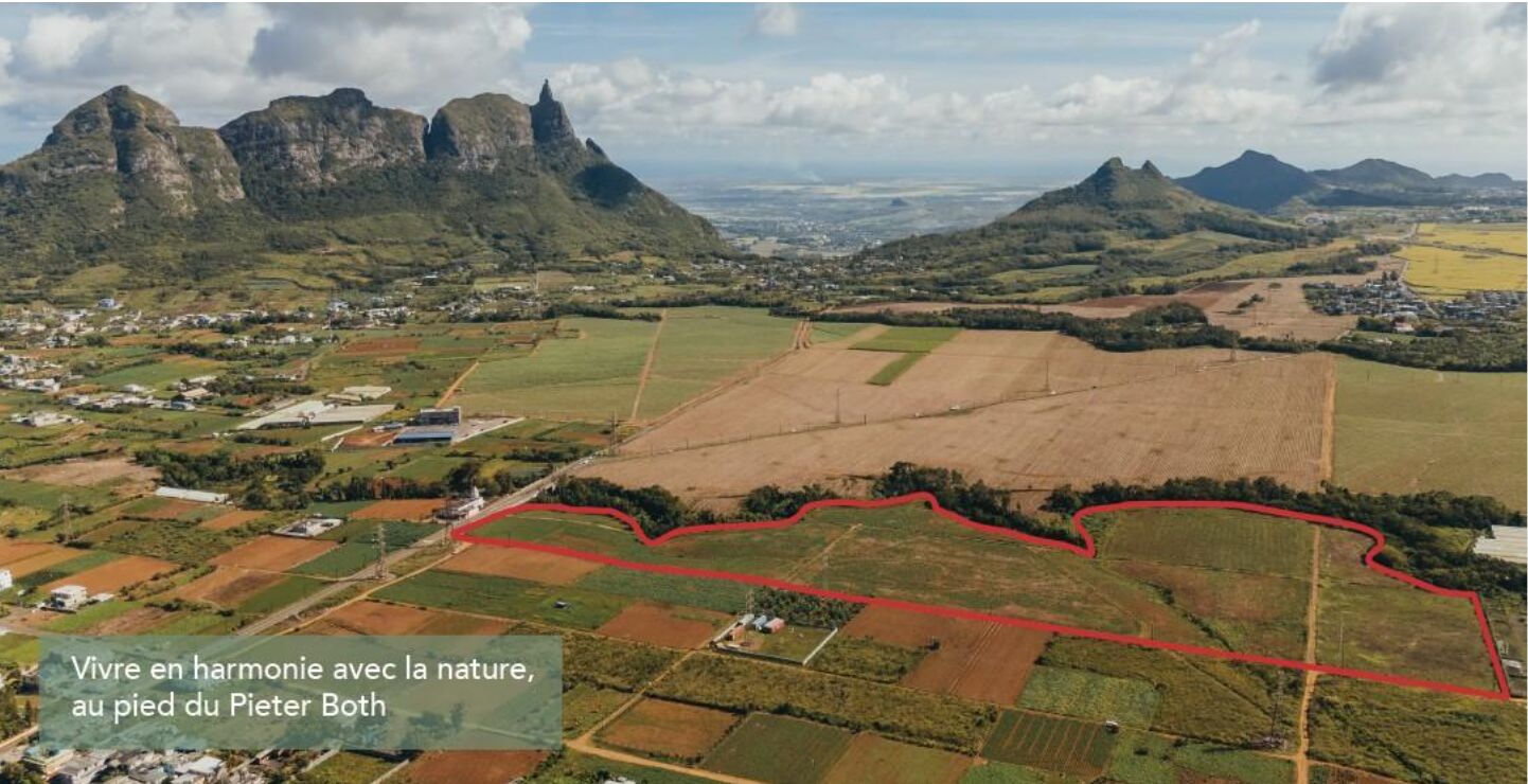 Terrain agricole de 2111 m2 en vente à l'Avenir, centre, île Maurice – LexpressProperty.com | 790509 | Ref01