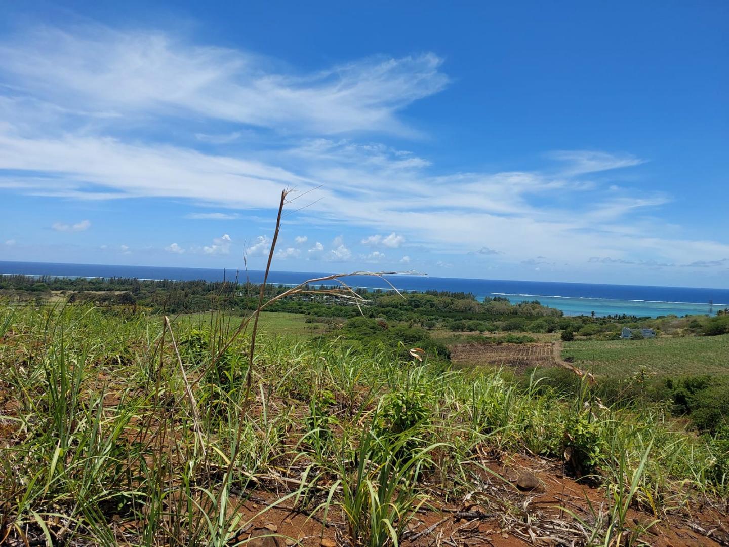 Terrain agricole de 92400 m2 en vente à Bel Ombre, sud, île Maurice – LexpressProperty.com | 790534 | Ref01