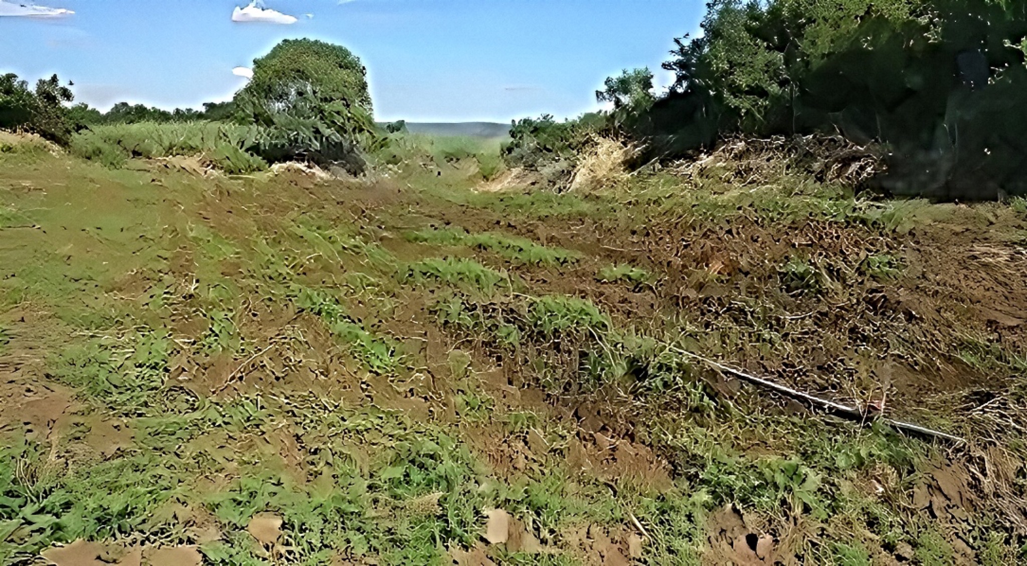 Property – LexpressProperty.com | 785363 | Ref01