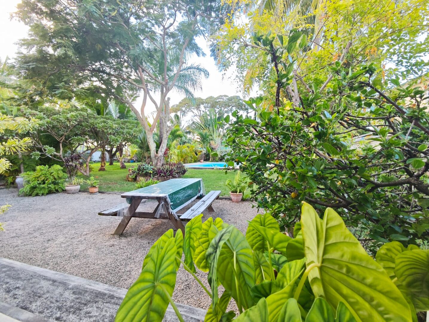 House / Villa of 3 bedrooms for rent in Roches Noires, north, Mauritius – LexpressProperty.com | 785384 | Ref01