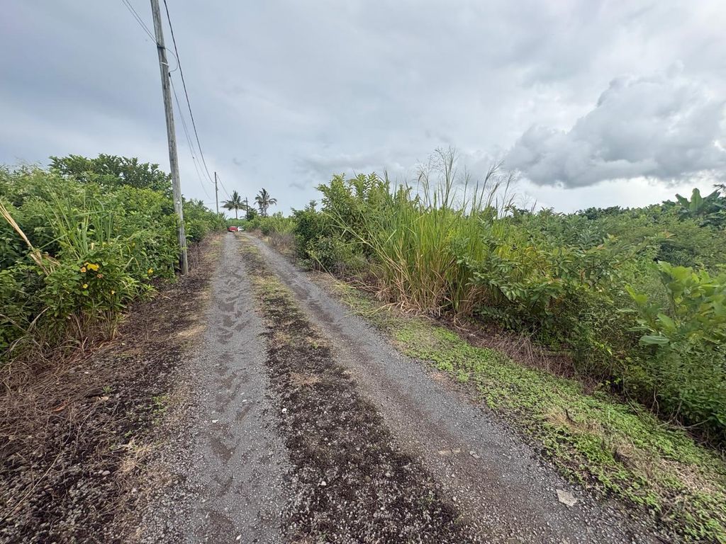 Residential land of 2242.36 m2 for sale in Mare d'Albert, south, Mauritius – LexpressProperty.com | 776801 | Ref01