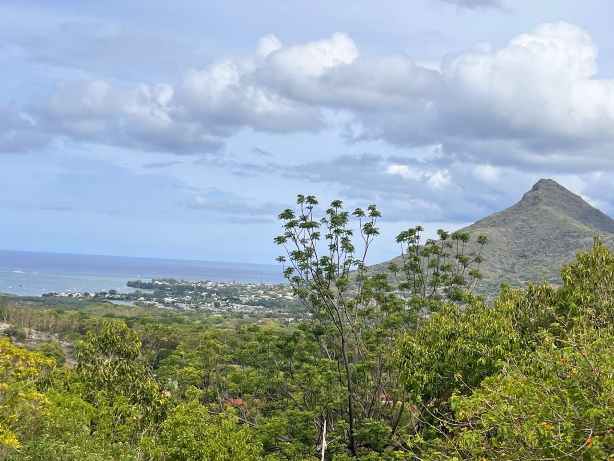 Property – LexpressProperty.com | 792891 | Ref01