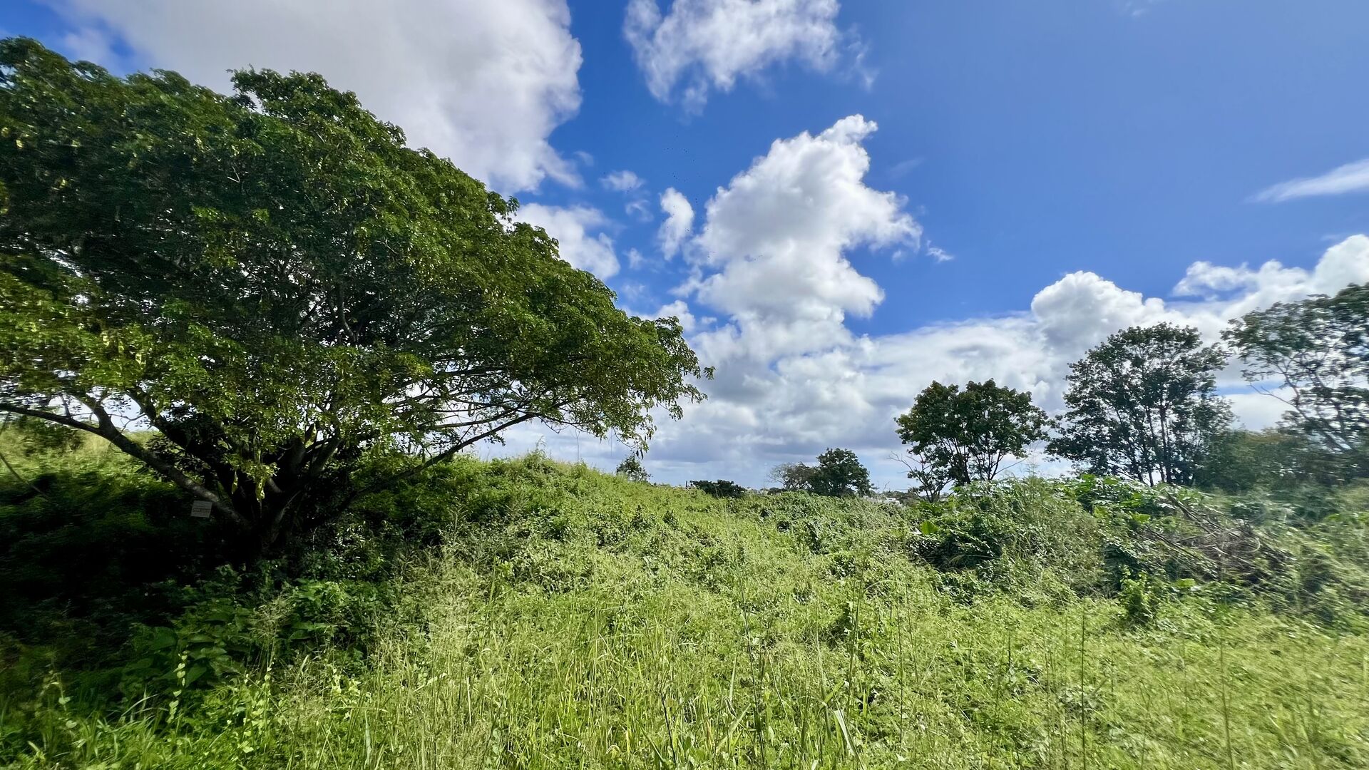 Agricultural land of 5369 m2 for sale in Forêt Daruty, north, Mauritius – LexpressProperty.com | 791524 | Ref01