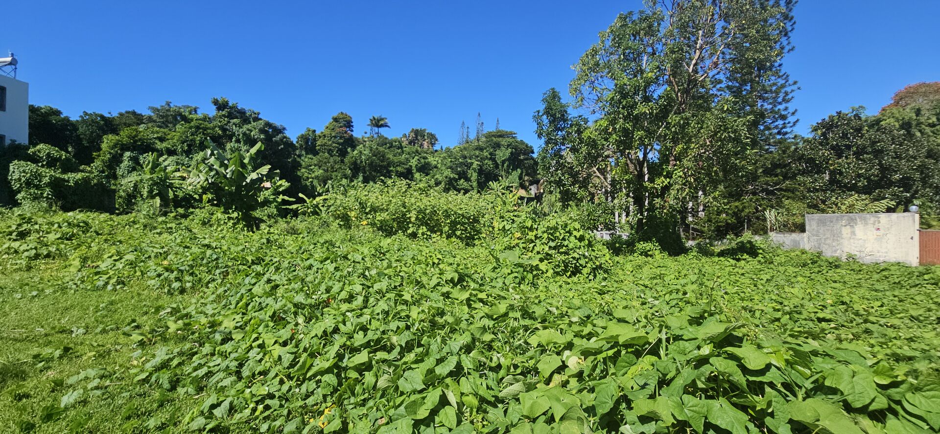 Residential land of 2090 m2 for sale in Floréal, center, Mauritius – LexpressProperty.com | 792966 | Ref01