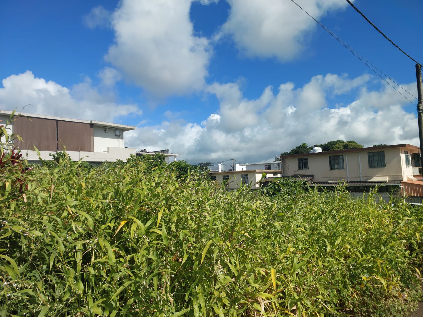 Property – LexpressProperty.com | 792821 | Ref01
