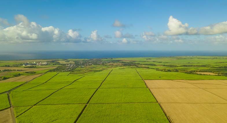 Terrain agricole de 2129 m2 en vente à Gros Bois, sud, île Maurice – LexpressProperty.com | 793552 | Ref01