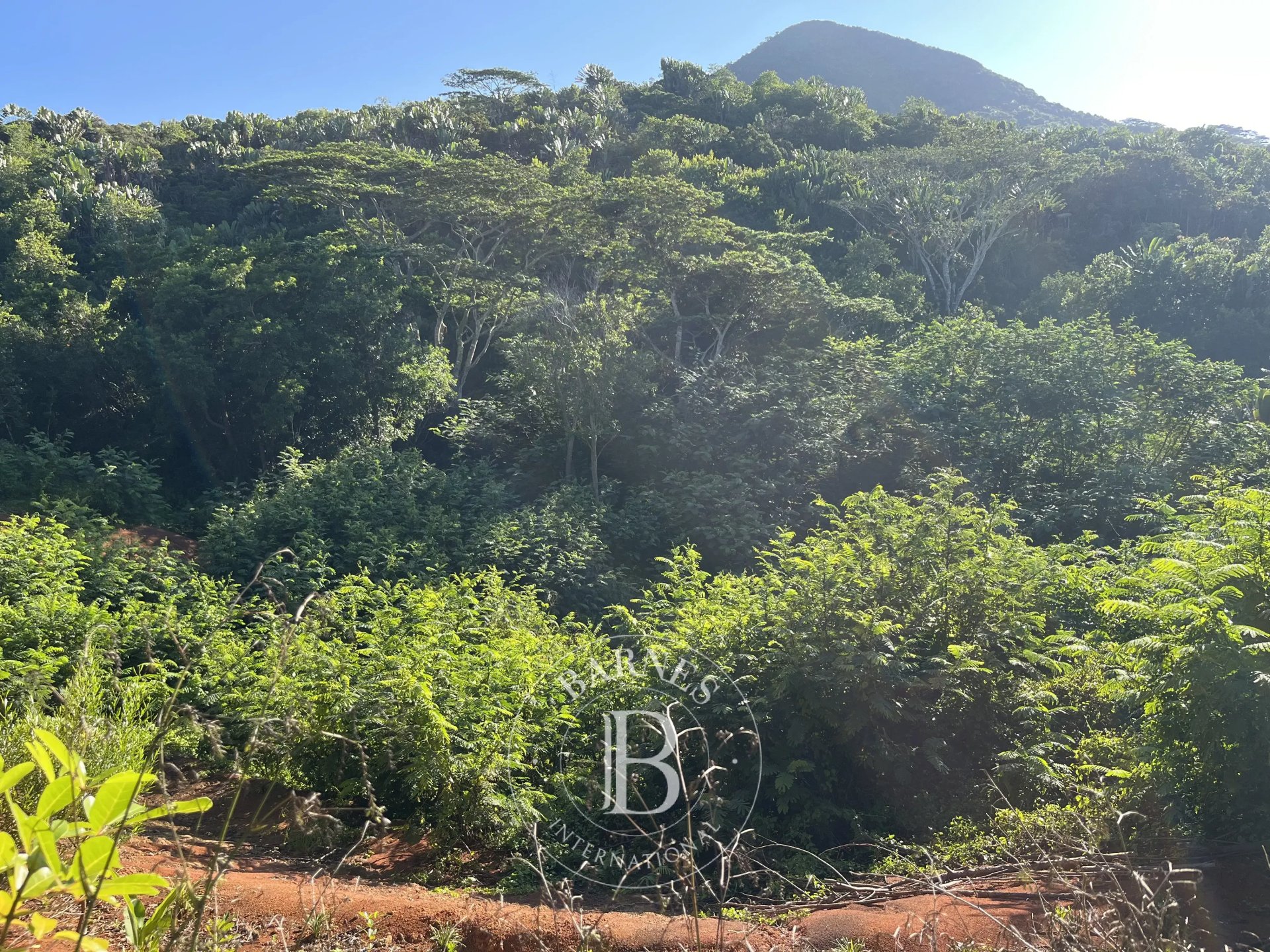 Residential land of 10276 m2 for sale in Chamarel, west, Mauritius – LexpressProperty.com | 794031 | Ref01